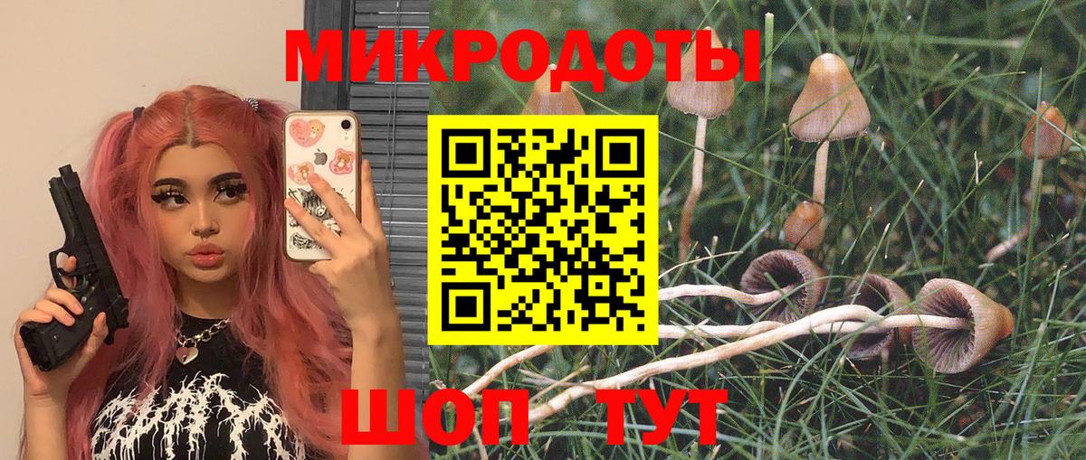 Галлюциногенные грибы Magic Shrooms  Псилоцибиновые грибы мухоморы  Ижевск  купить  цена  Вход с VPN 