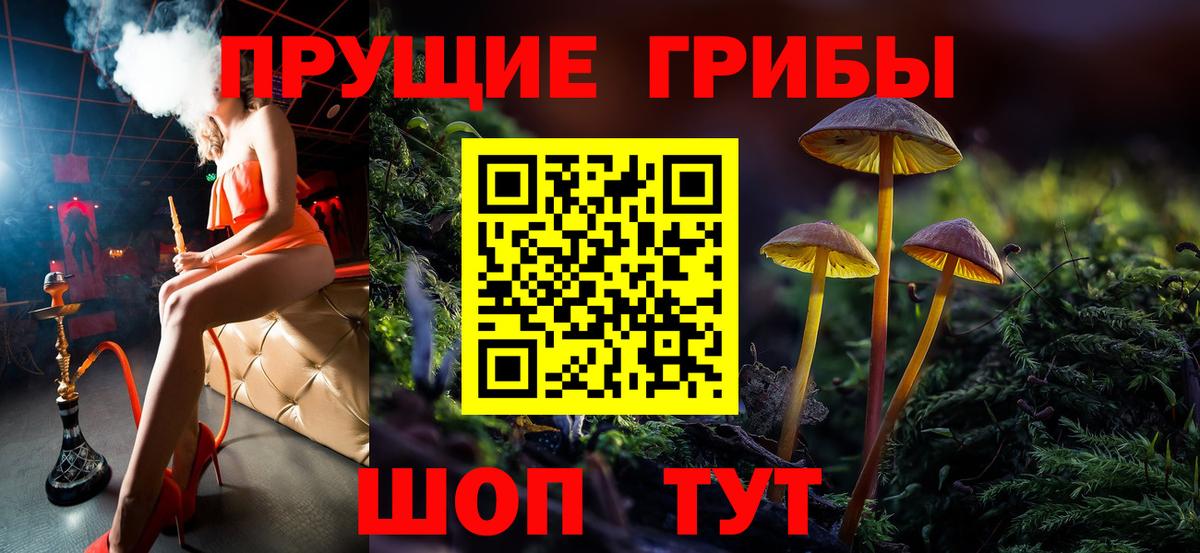 Галлюциногенные грибы Psilocybine cubensis Ижевск